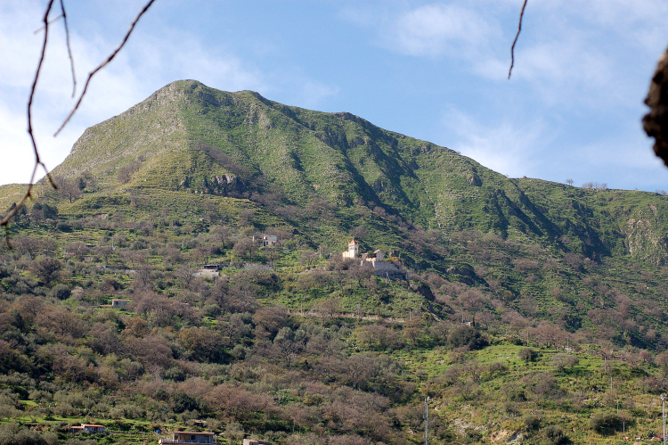 5 Le colline di Taormina:Aphyllophorales e molto altro